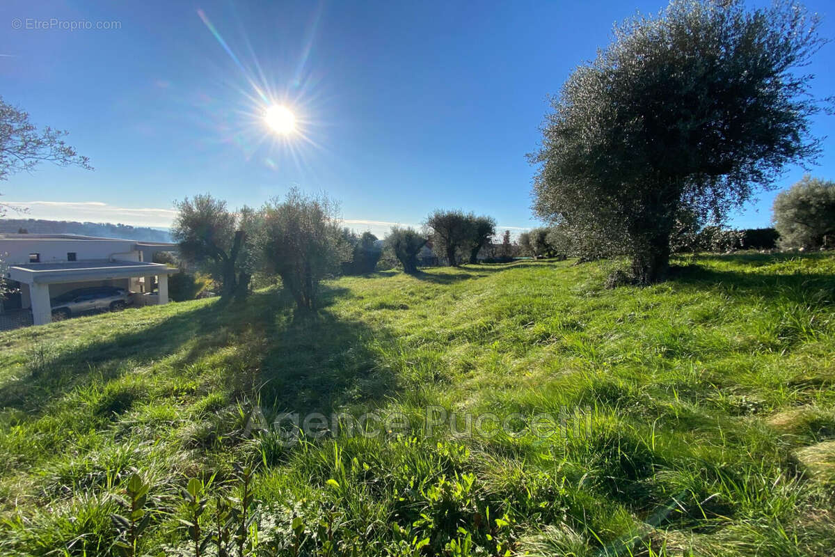 Terrain à VENCE