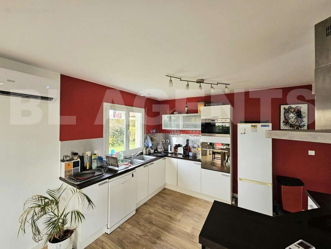 20250321_103230 - Maison à SAINT-JEAN-DU-CARDONNAY