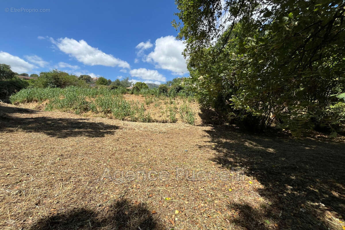 Terrain 2221 m² à Vence  - photo 7