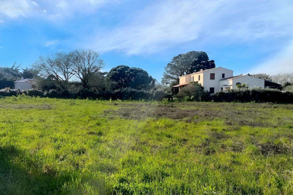 Terrain à SAINT-DENIS-D&#039;OLERON