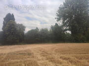Terrain à SERAINCOURT