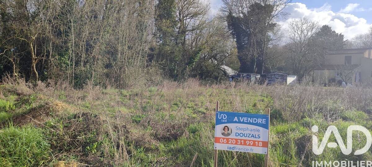 Photo 1 - Terrain à SAINT-LAURENT-DE-LA-PREE