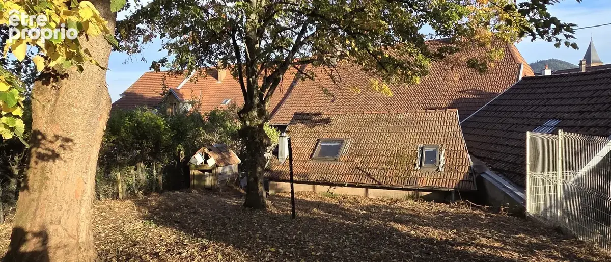 Saales, ancienne maison à rénover, avec dépendance et terrain à l'arrière, beaux espaces. - photo 3