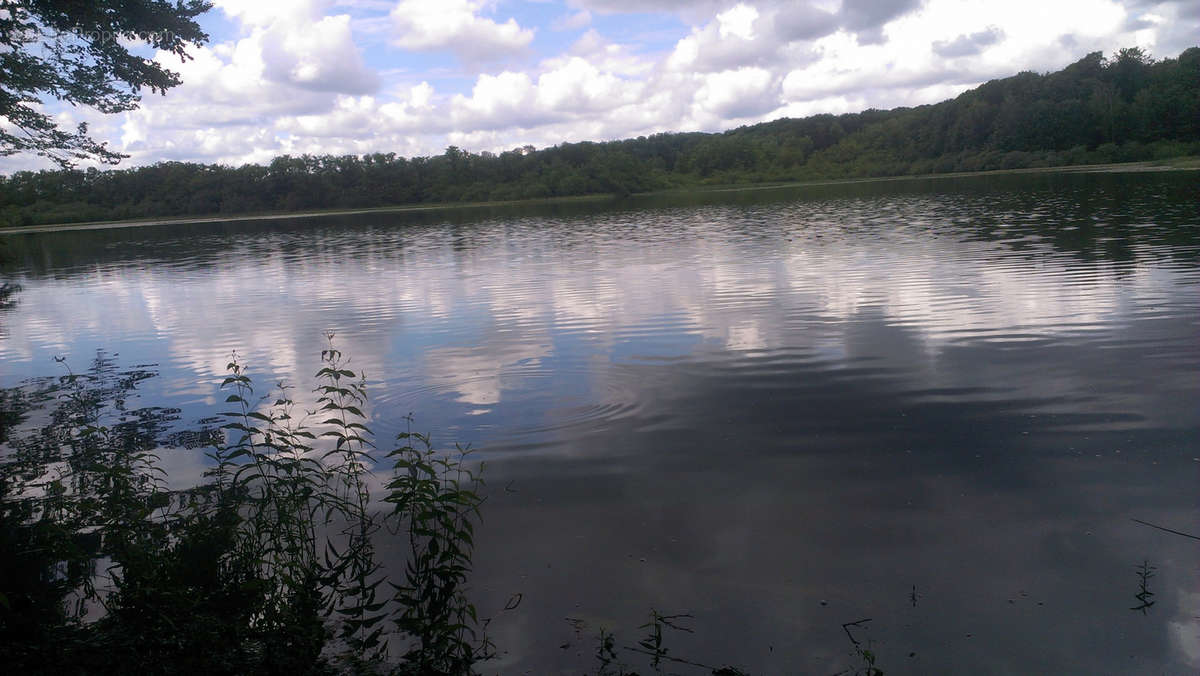 Terrain à PLOMBIERES-LES-BAINS