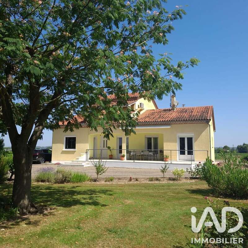 Maison 139 m² à Saint-Nicolas-De-La-Grave  - photo 3