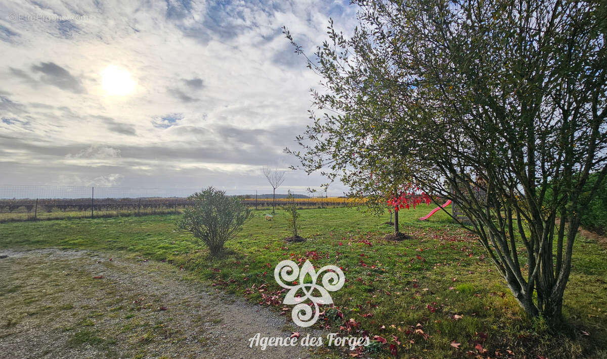 Maison Vallet 113 m2 / 3 chambres / 1642m² de terrain - photo 13