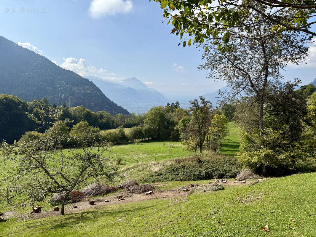 Terrain à SAINT-SIGISMOND