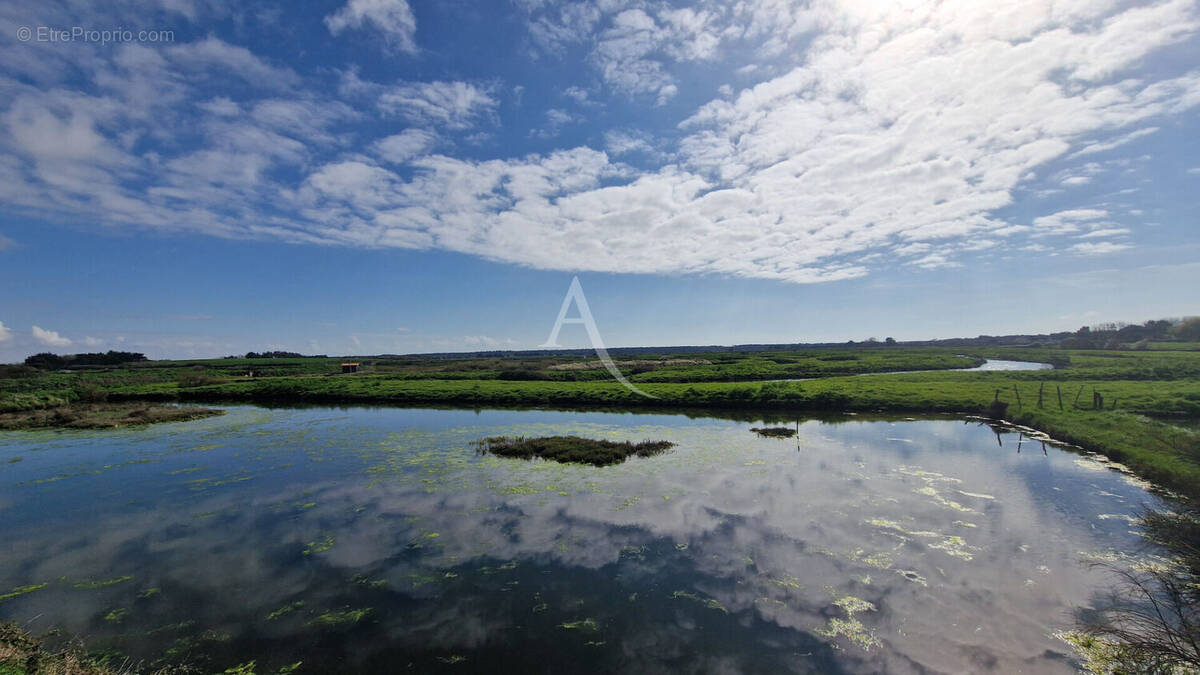 Terrain à TALMONT-SAINT-HILAIRE