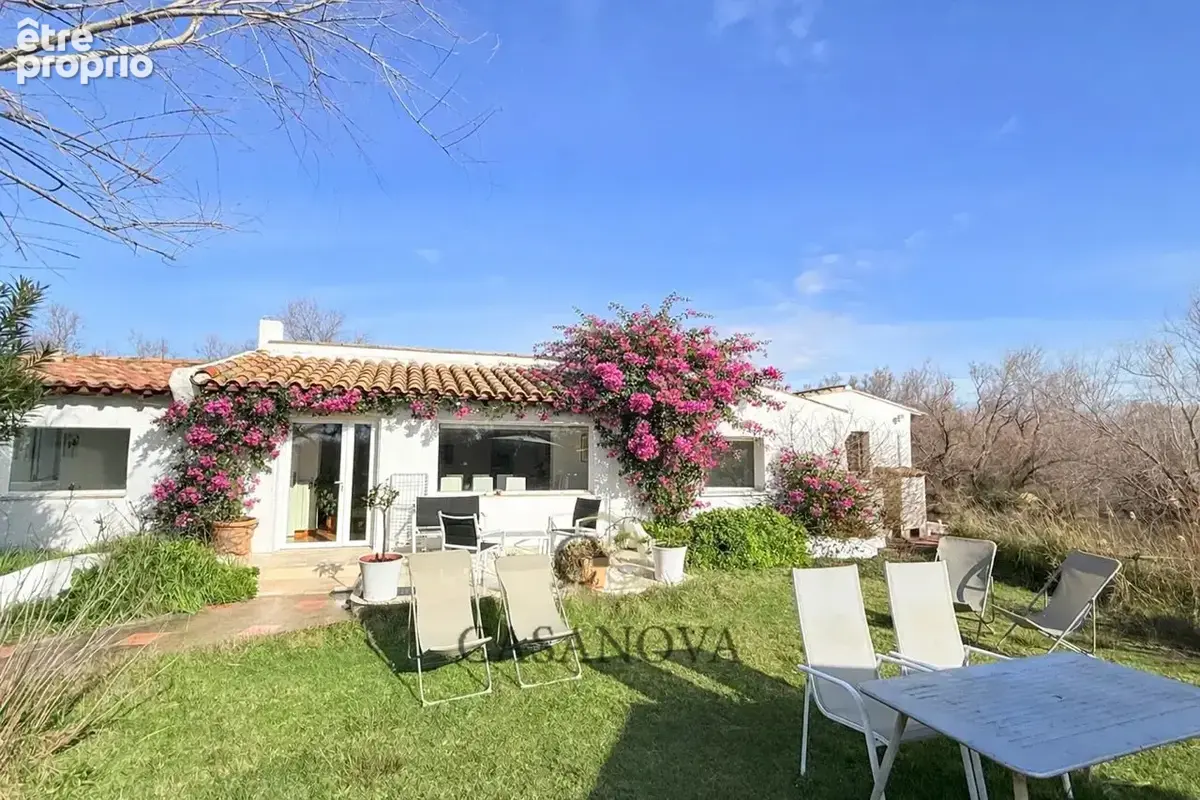 La presqu'île Camarguaise - photo 7