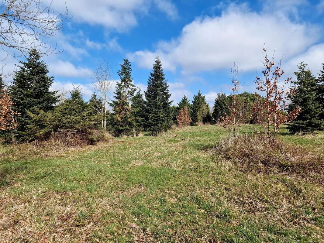 Grand terrain constructible avec certificat d’urbanisme, proche de Monségur - photo 2