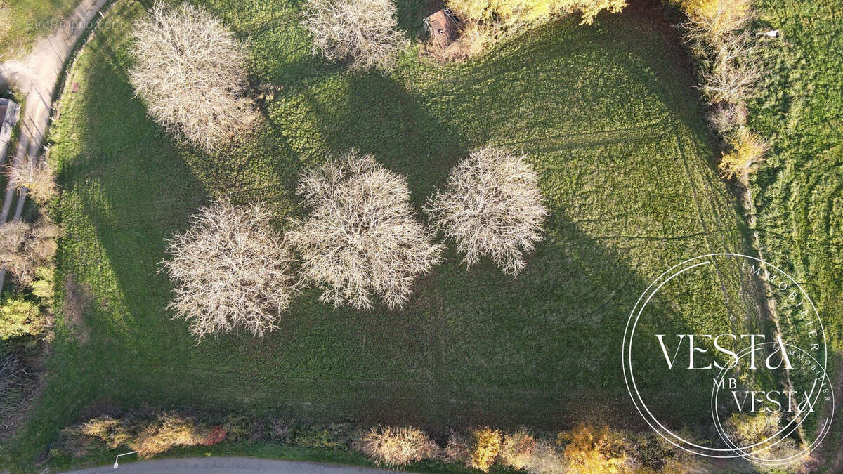 Terrain à MONTENOIS