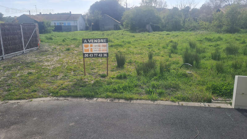 Terrain 650 m2 saint jean de monts - photo 5