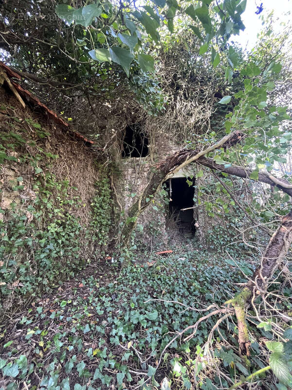 Maison à POULIGNY-NOTRE-DAME