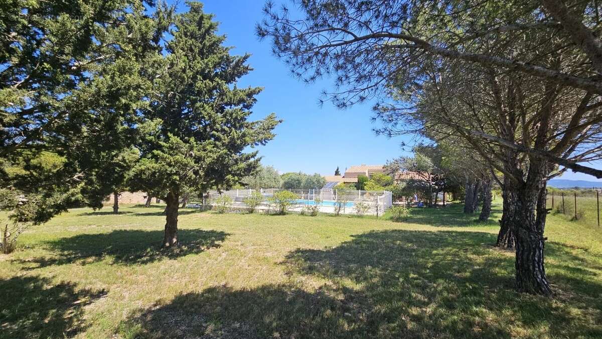 VILLA sur + de 7400m2 de terrain avec PISCINE - photo 16