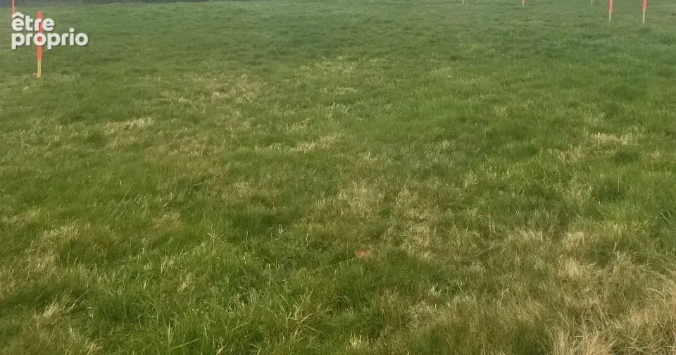 Terrain à LA FERTE-MACE