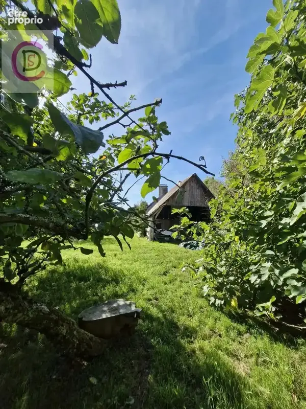 Saint-joseph - photo 13