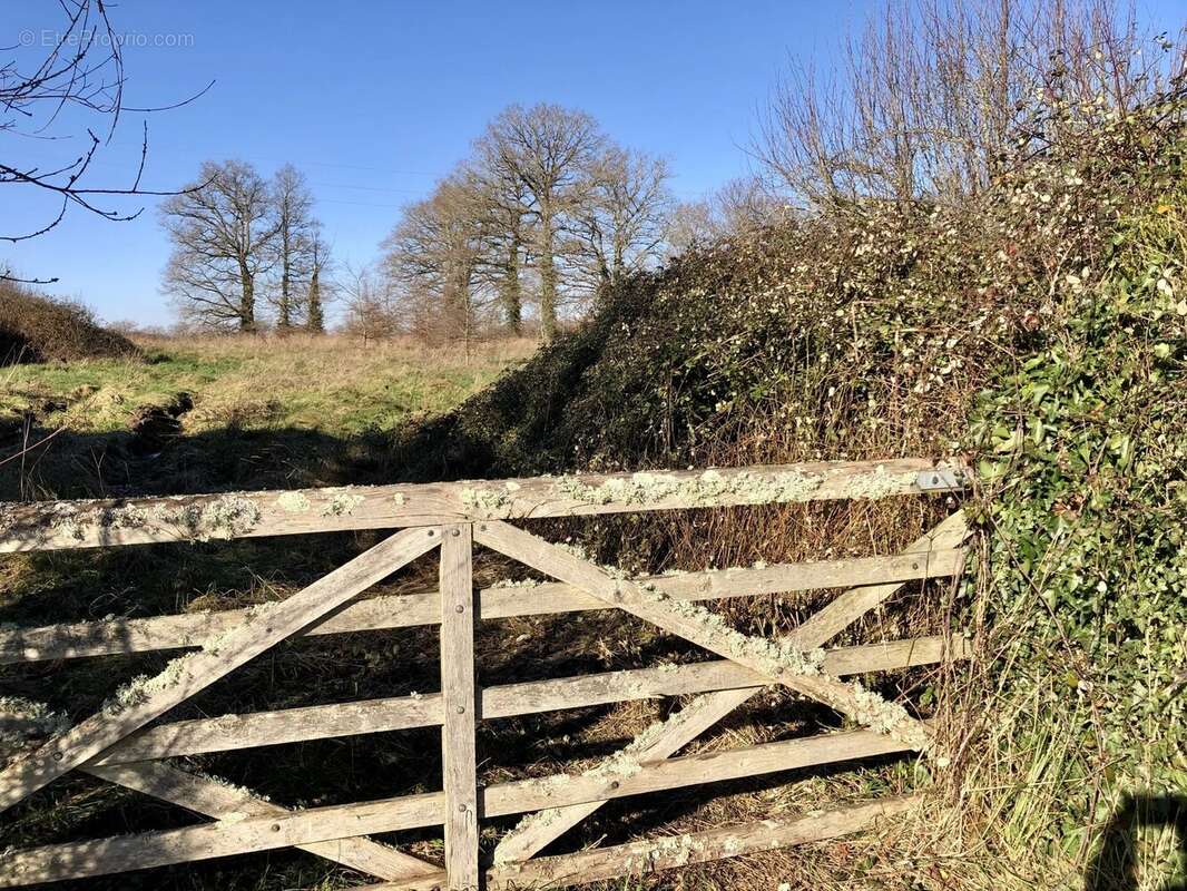 Maison à BUSSIERE-POITEVINE
