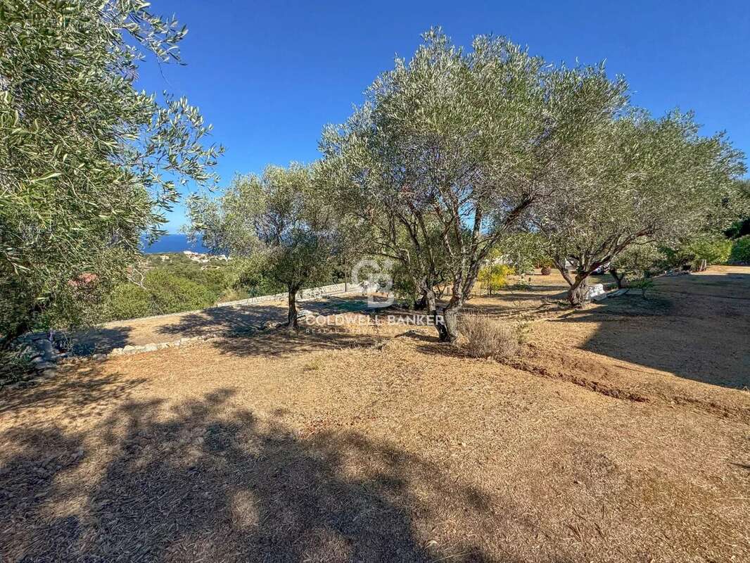 Maison à MONTICELLO