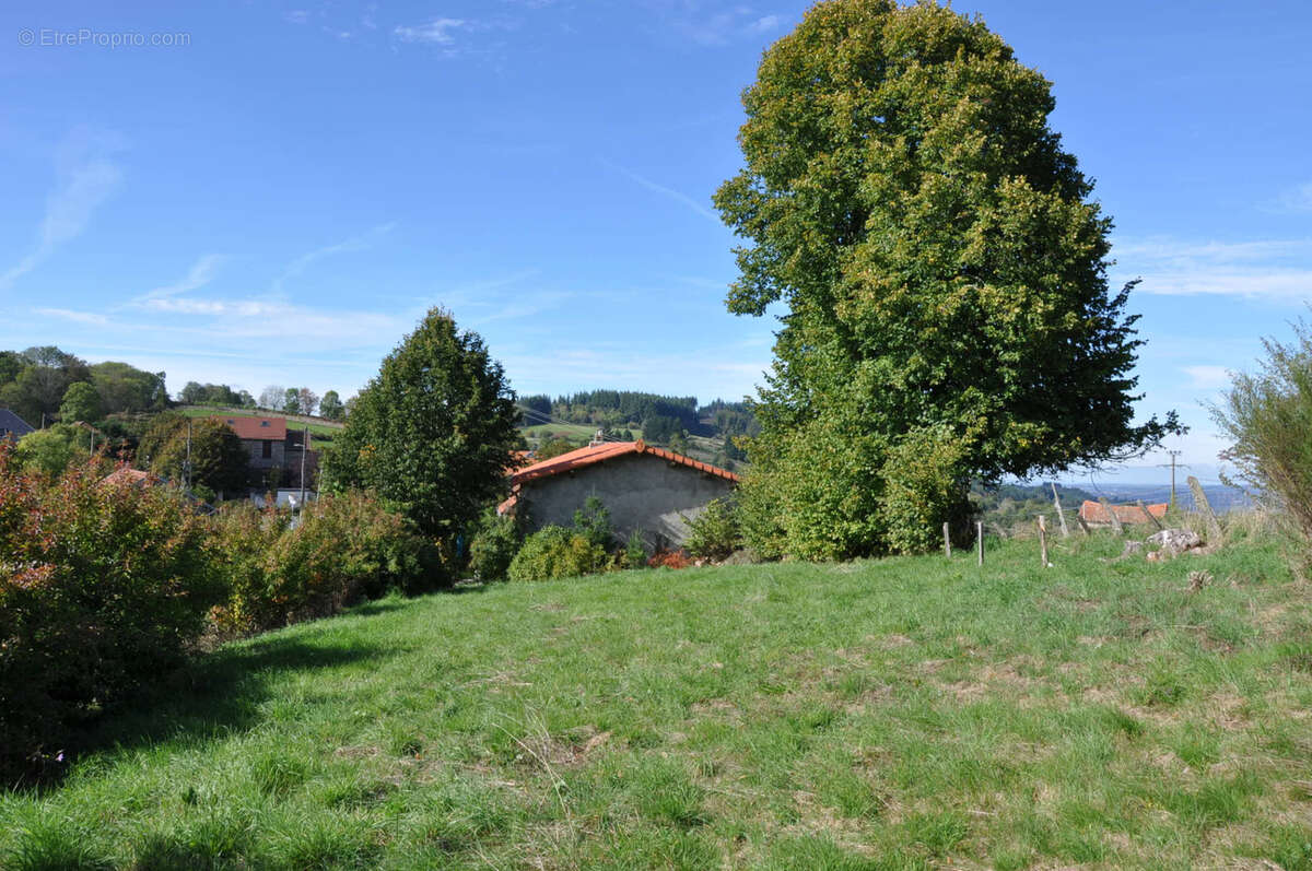 Maison à ARFEUILLES
