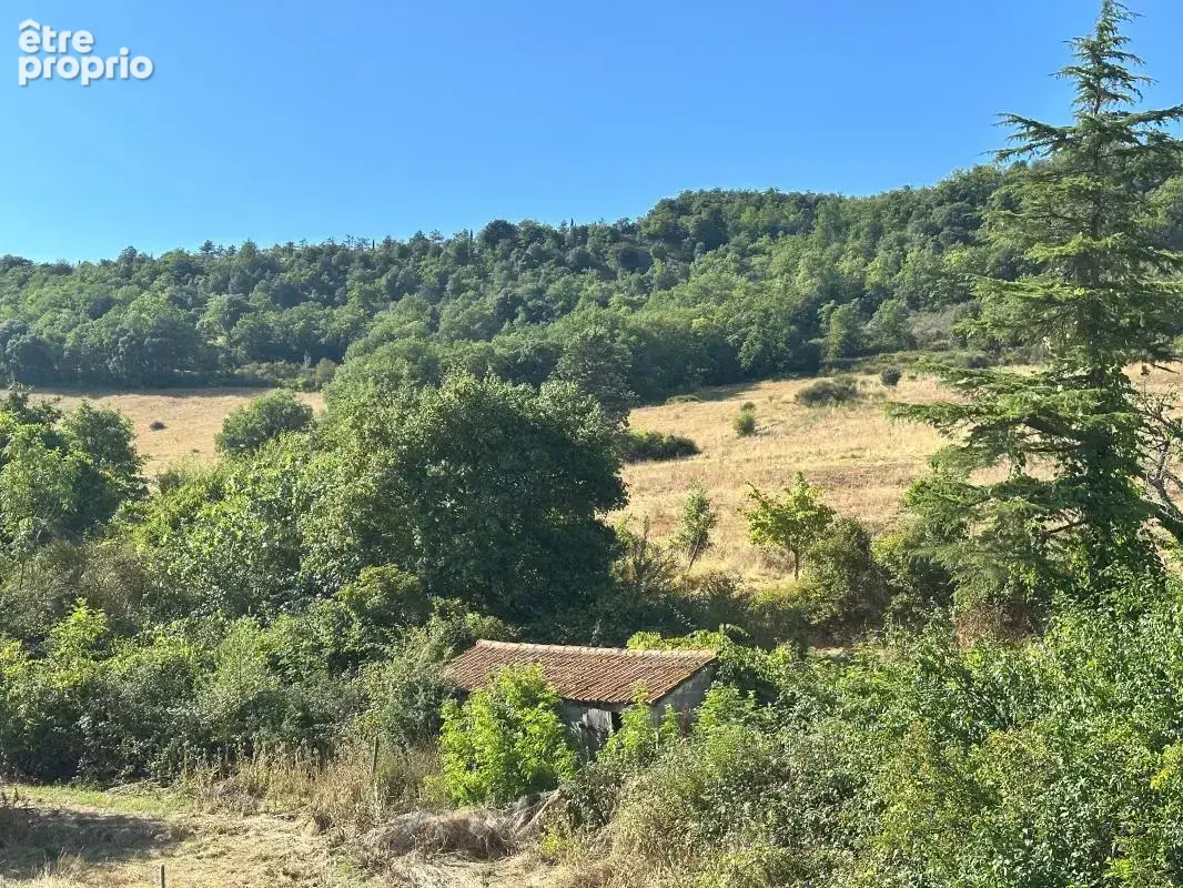 Propriété rurale - photo 13