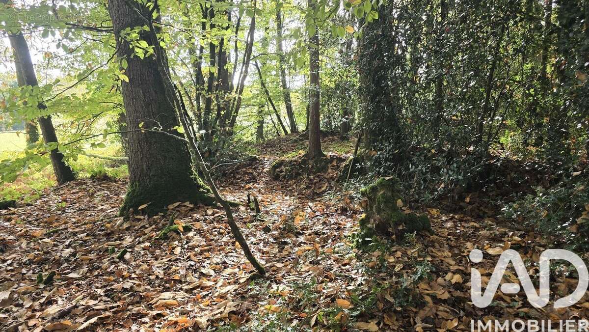 Photo 7 - Terrain à VIEUX-VY-SUR-COUESNON