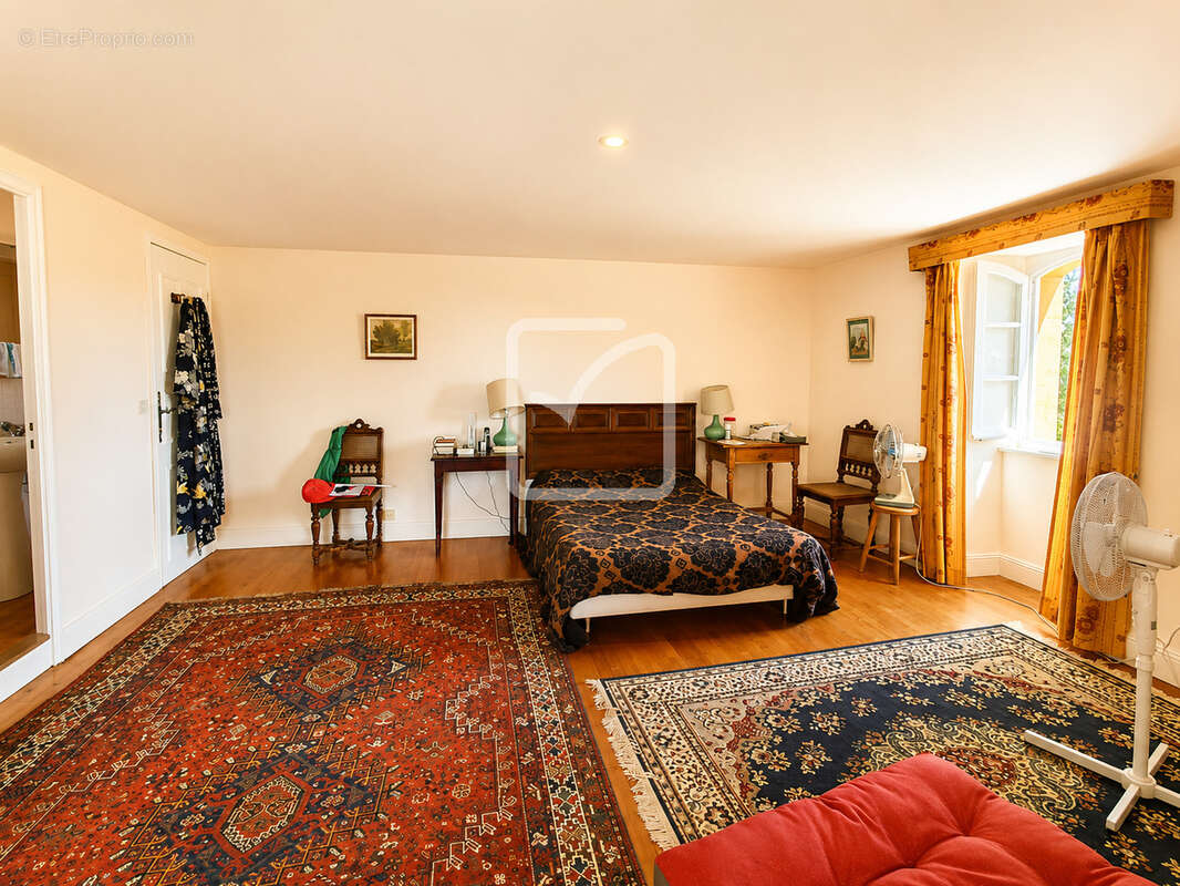 Maison T5 avec piscine, 4 chambres - étang - dépendances et plus de 2,14 hectares de terrain - Un cadre de vie - photo 20