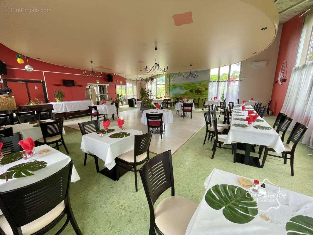 Commerce à PEYRAT-DE-BELLAC