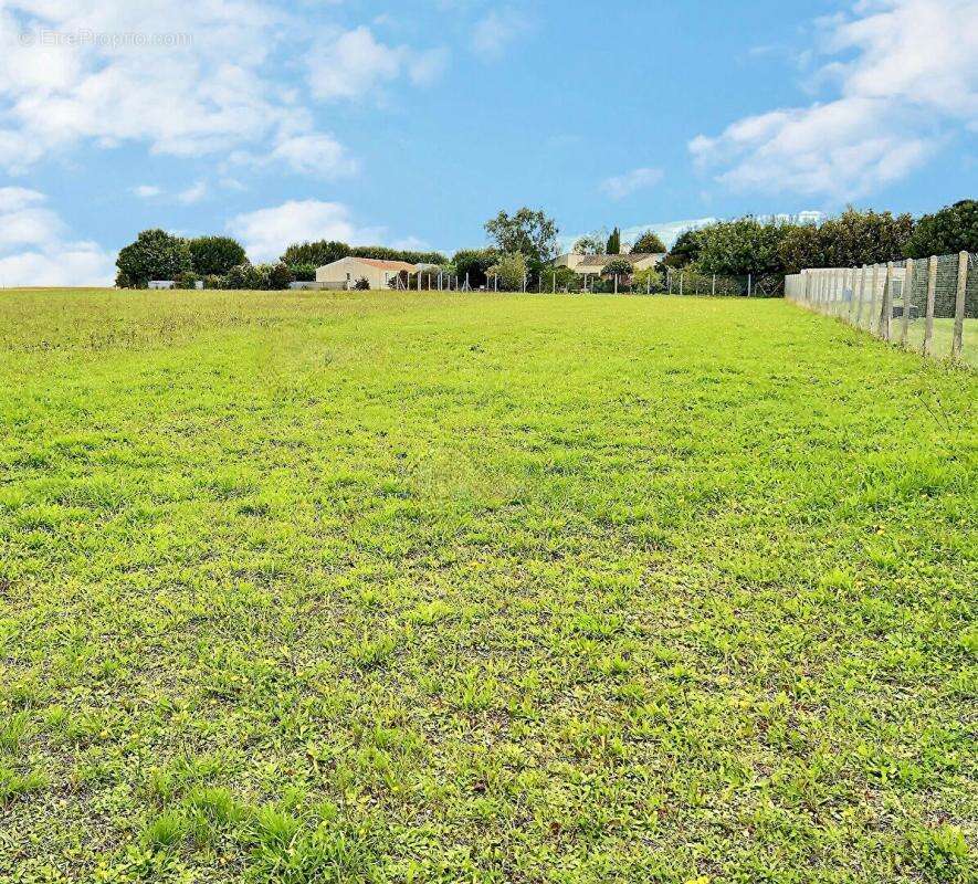 Terrain à AIGREFEUILLE-D&#039;AUNIS