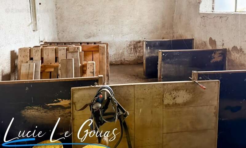 Ferme équestre - photo 30