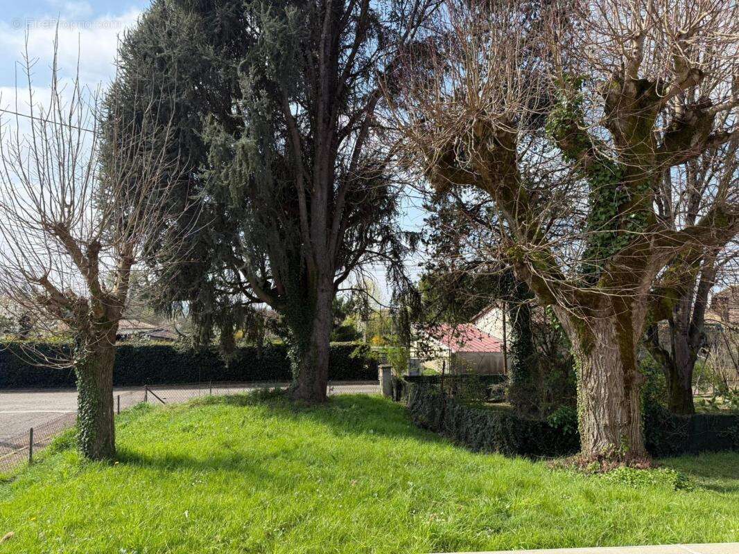 Située à Malause (82200), cette propriété bénéficie d'un emplacement privilégié, à proximité du centre-ville offrant ainsi un ac - photo 3