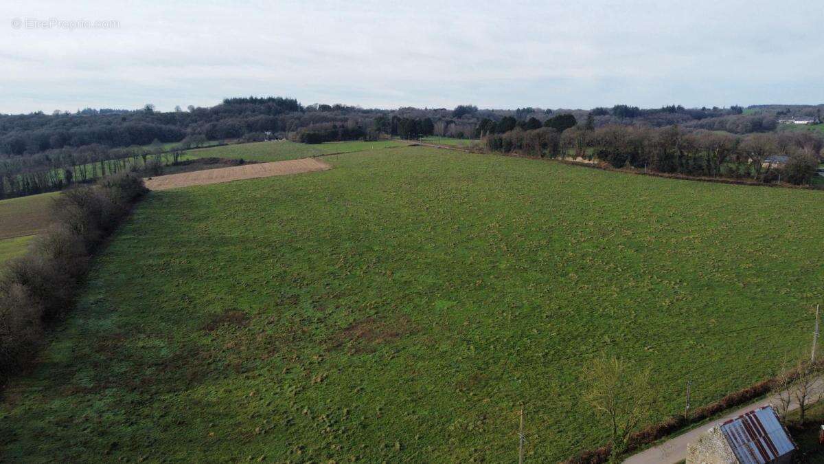 Maison située en campagne - photo 8