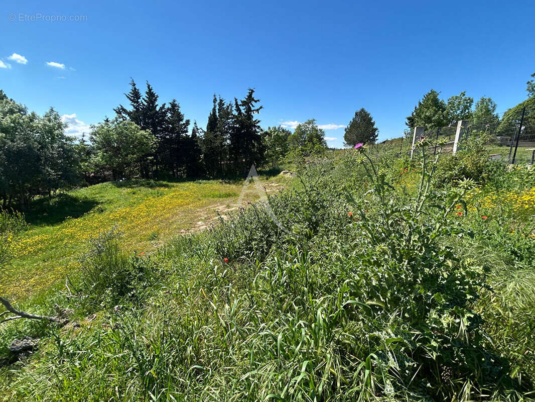 Terrain à VILLEFLOURE