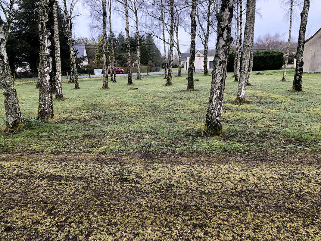 Maison à SAVIGNE-SUR-LATHAN