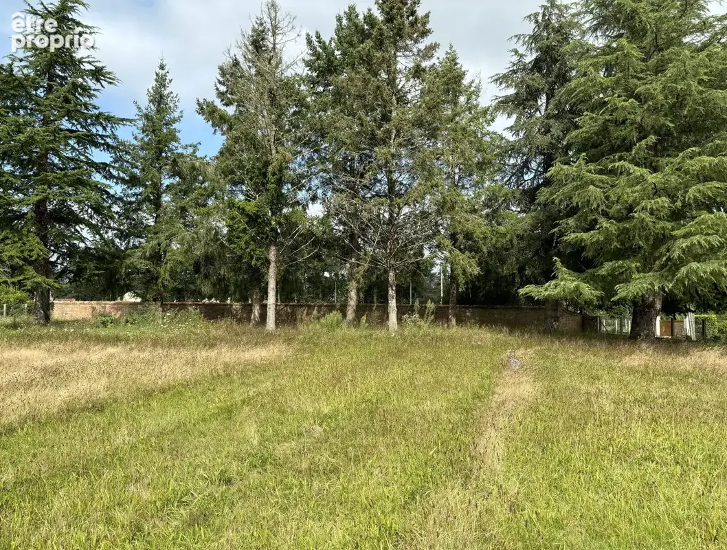 Terrain 656 m² à Sennely  - photo 3