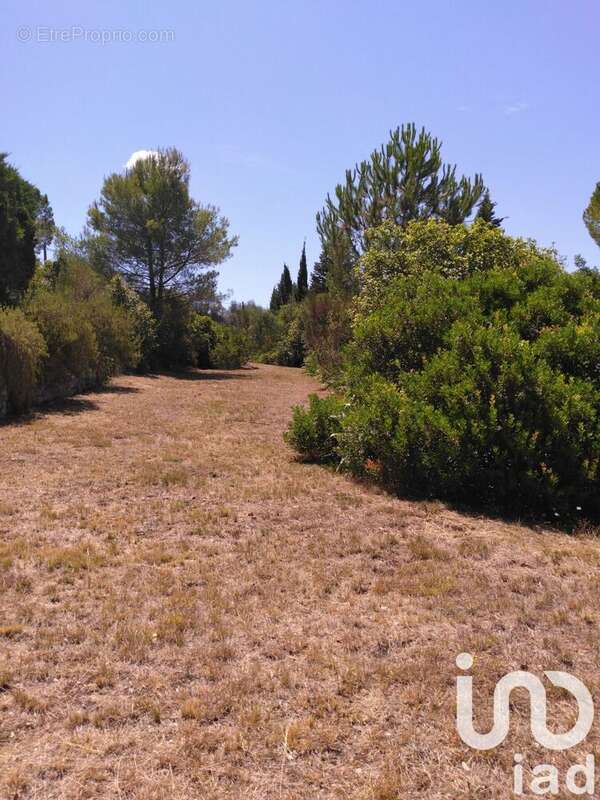 Photo 3 - Terrain à PEYMEINADE