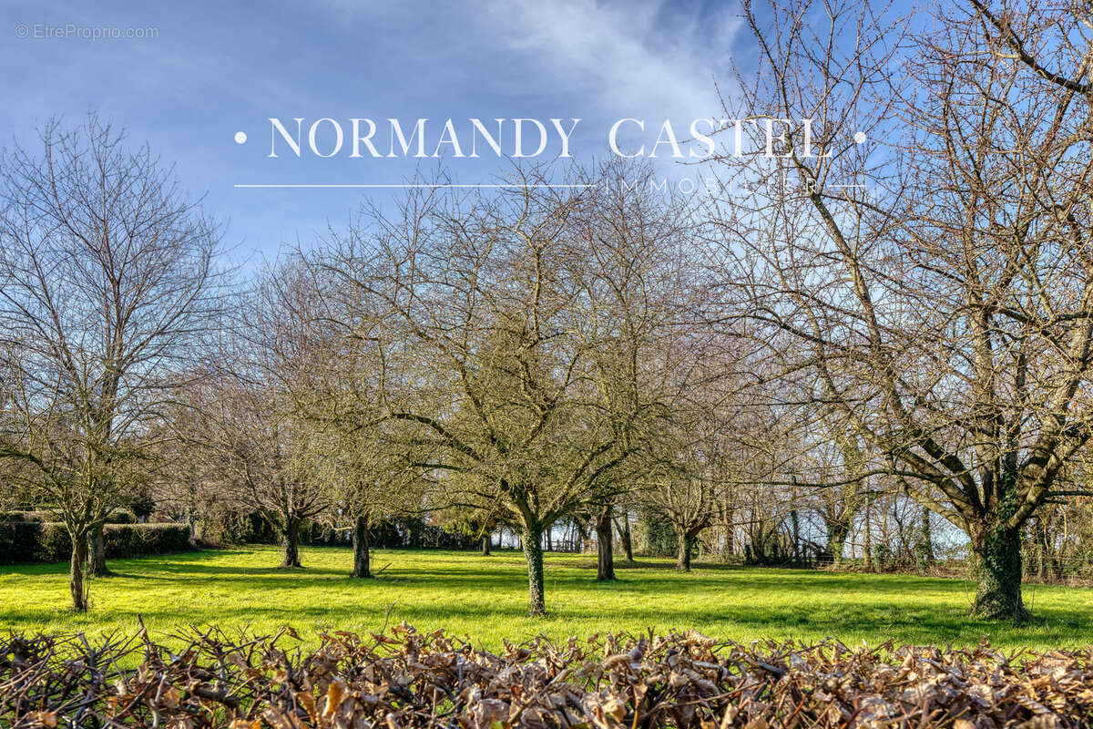 Maison à CRICQUEBOEUF