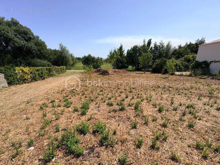 Rare a royan - terrain constructible viabilisé - 722 m² - photo 2