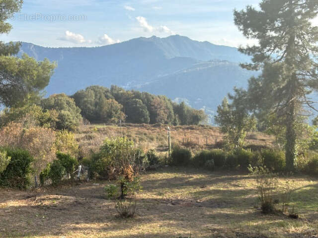 Maison 3 pièces à vendre à Piano (Haute Corse) — 83,25 m2 sur terrain de 2 230 m2 - photo 24