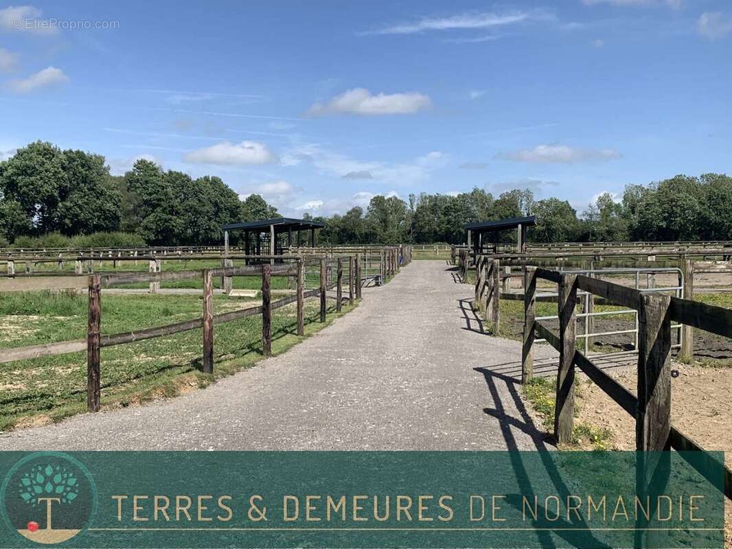 Dans le département de l'EURE, entre LIEUREY et PONT AUDEMER, A vendre en exclusivité un haras de 25 ha - photo 18