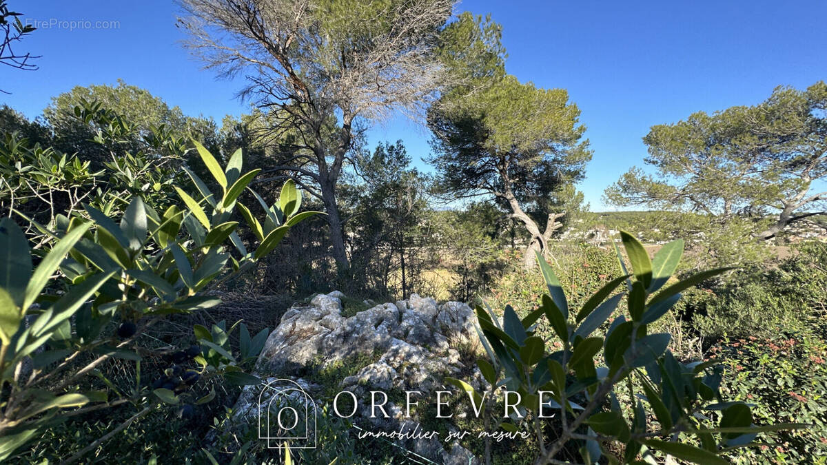 Maison à CASTELNAU-LE-LEZ