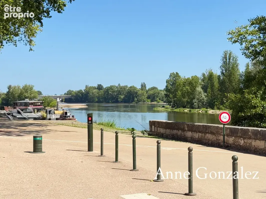 ORLEANS Coeur de ville entre Centre historique et bords de Loire à vendre superbe appartement T4 rénové avec patio intérieur san - photo 3