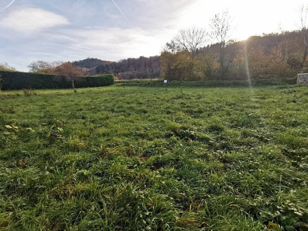 Terrain à ALLINGES