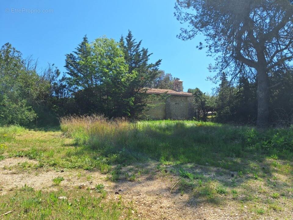Terrain à LA BASTIDE-DES-JOURDANS