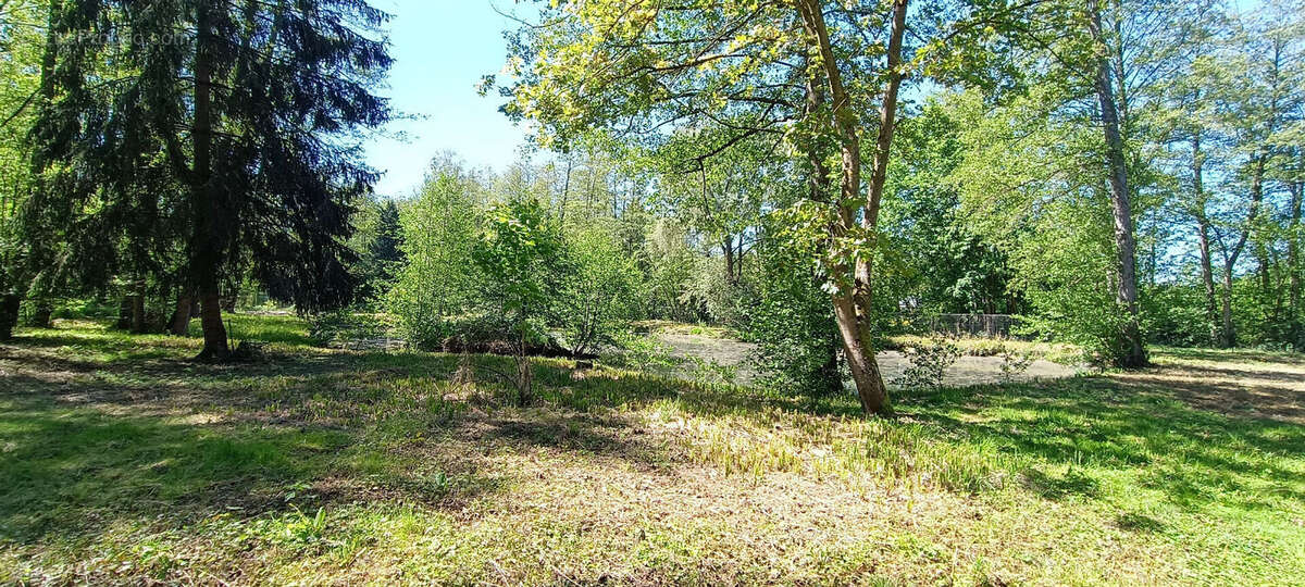 Terrain à LA FERTE-CHEVRESIS