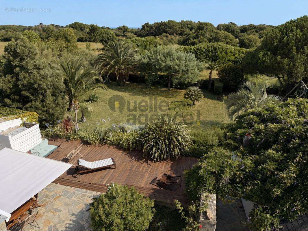 Maison 16 pièces de 292 m2 à Audierne - DPE B - photo 15