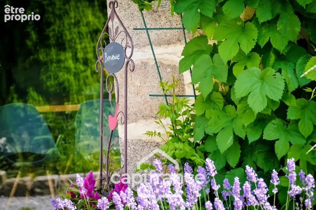 À reprendre – domaine touristique – 5 chambres d’hôtes + 3 gîtes –  murs + activité - photo 21