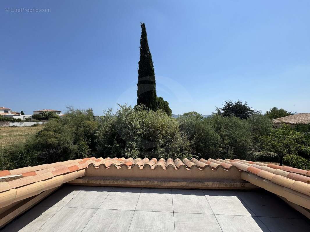 Villa pieds dans l'eau à Bouzigues : un bien rare sur le bassin de Thau - photo 2