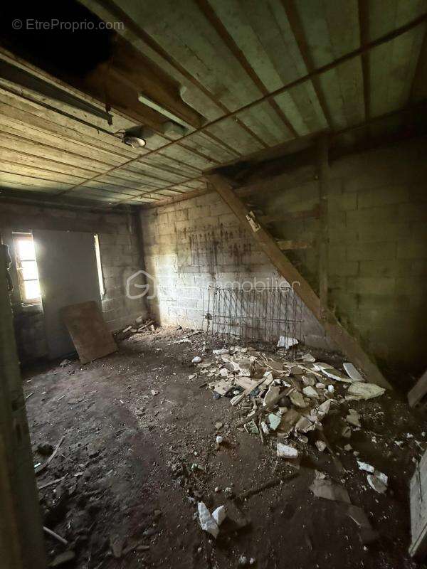 Opportunité rare à 10 minutes de La Ferté-Macé – Bâtiment à aménager + terrain arboré  - photo 5