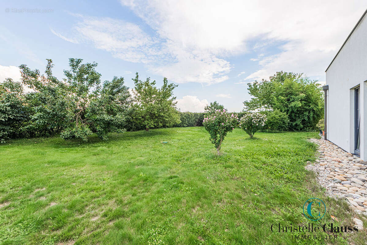 Maison à LA WANTZENAU