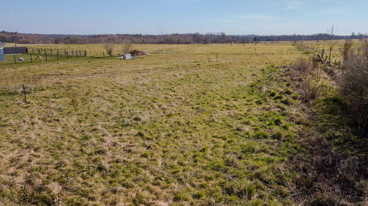 Terrain à LE BOCASSE